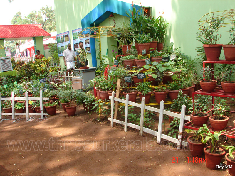 thrissur-pooram-exhibition-2010 (17)